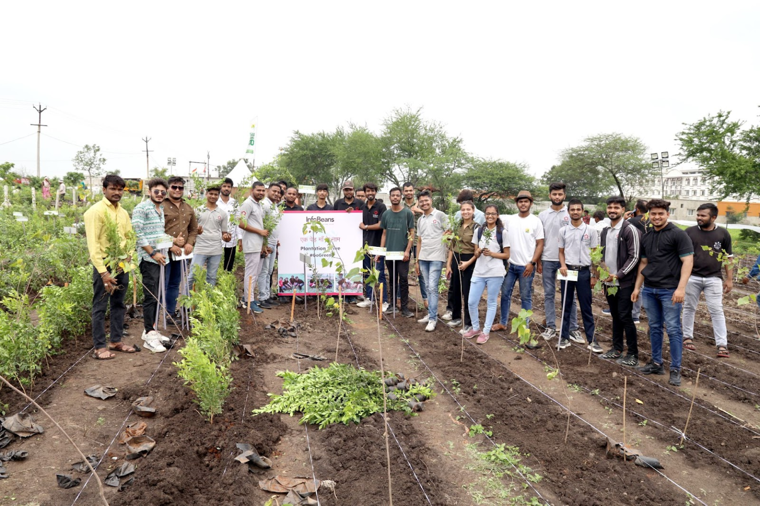 Plantation Drive